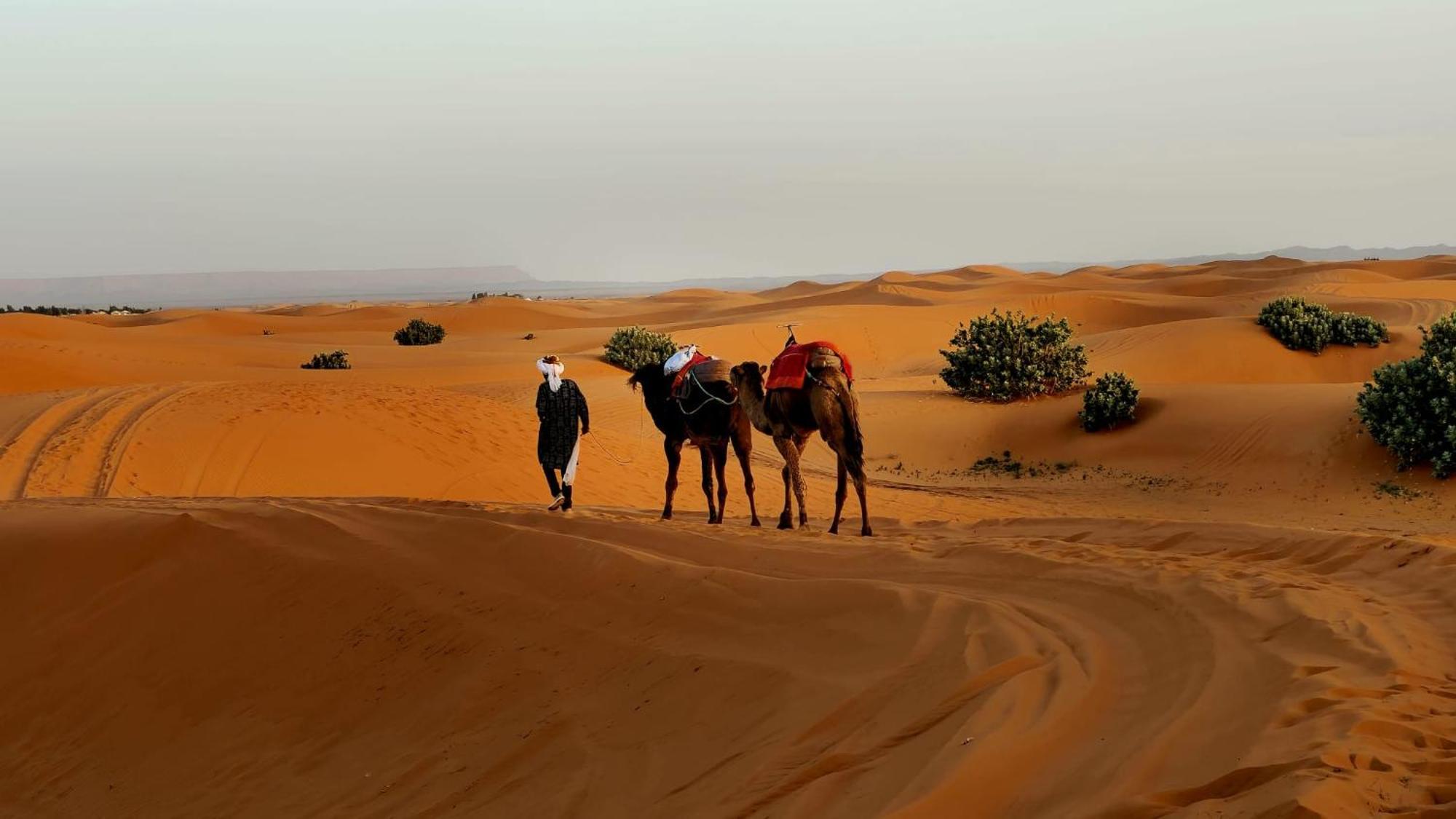 Camp Familia Erg Chebbi Hotel Merzouga Exterior photo